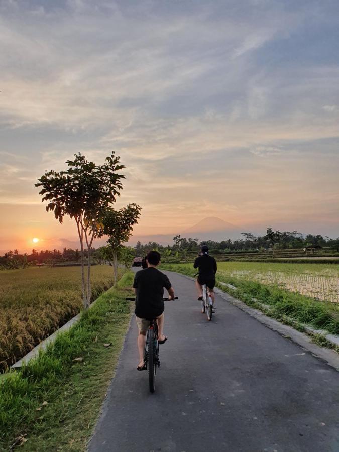 Borobudur Bed&Breakfast Magelang Exterior foto