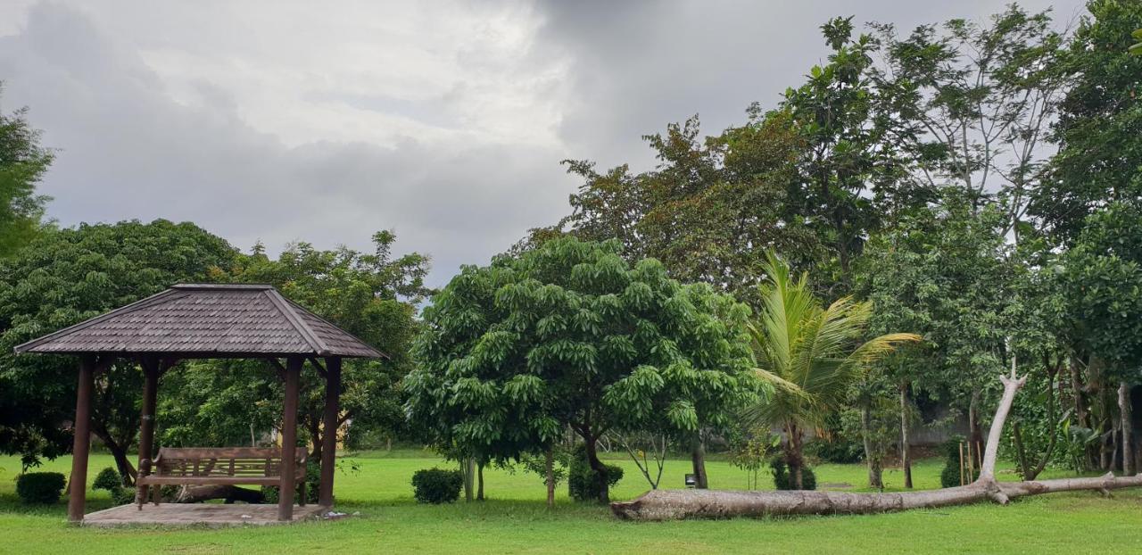 Borobudur Bed&Breakfast Magelang Exterior foto