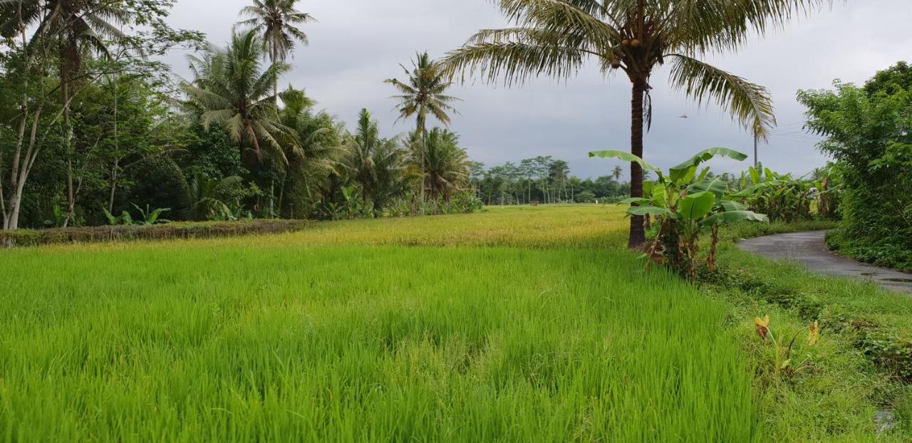 Borobudur Bed&Breakfast Magelang Exterior foto