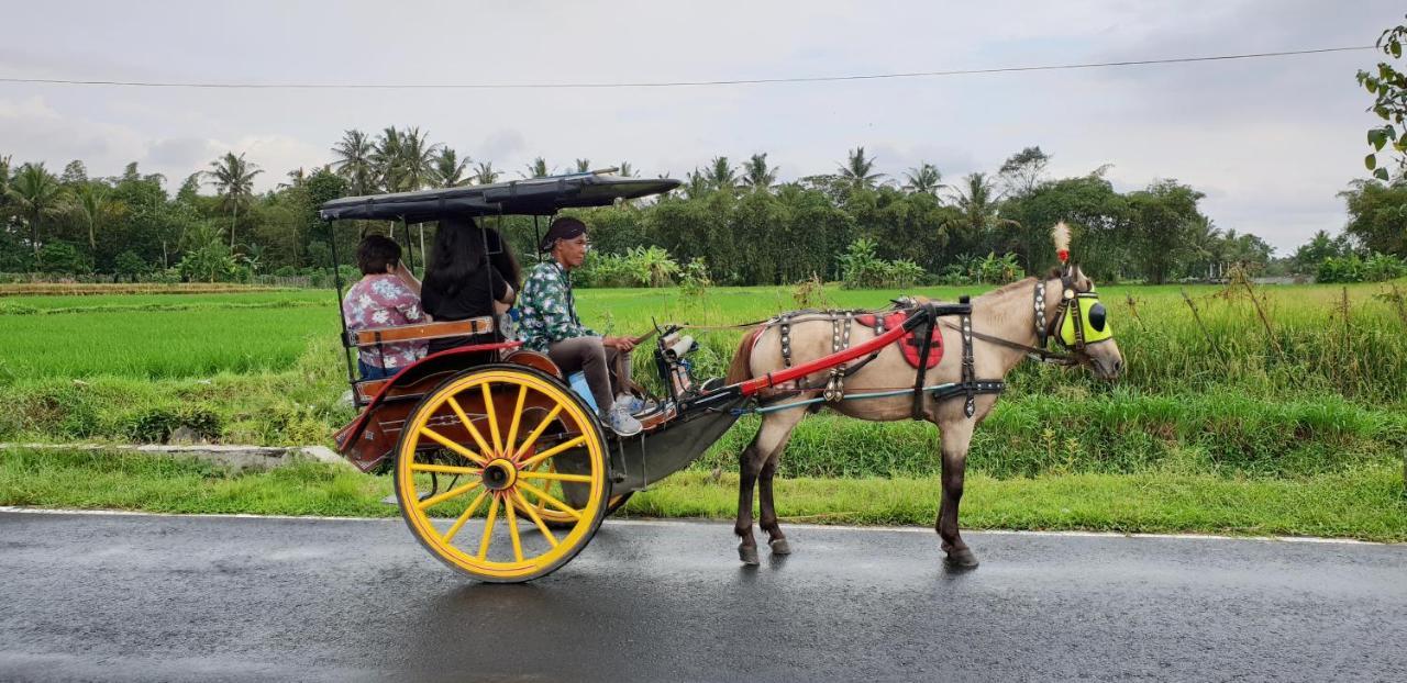 Borobudur Bed&Breakfast Magelang Exterior foto