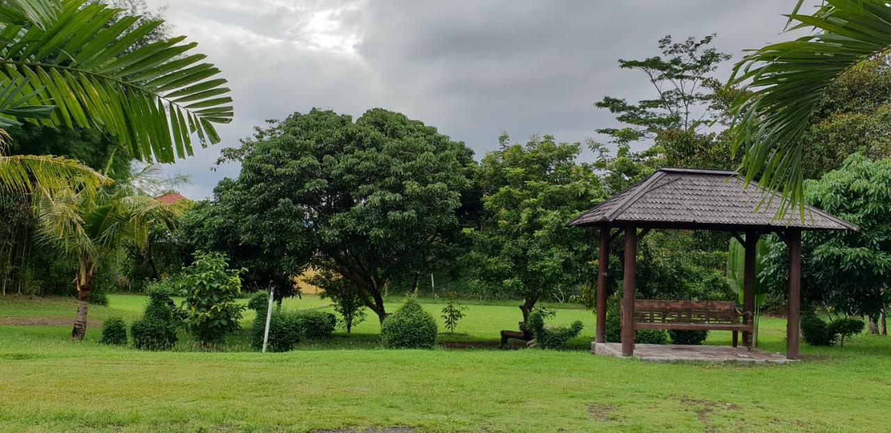 Borobudur Bed&Breakfast Magelang Exterior foto